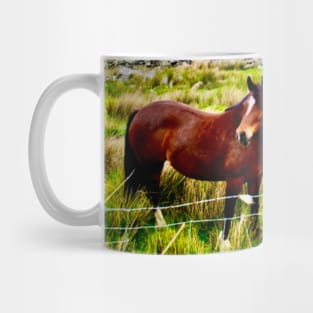 A horse stands in a field in the Welsh mountains Mug